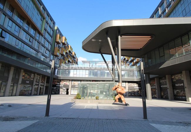 Commercial Properties in a Shopping Center in Istanbul 3