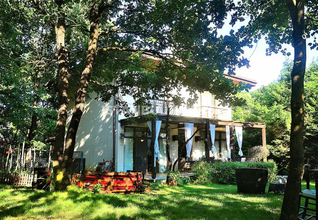 Peaceful House Surrounded by Nature in Istanbul Omerli 3