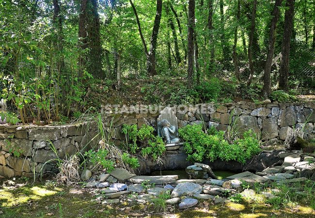 Peaceful House Surrounded by Nature in Istanbul Omerli 9