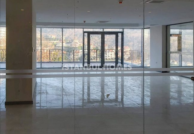 Immobilier Luxueux Vue Mer Et Nature À Istanbul Beykoz 7