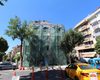 Immeuble Entier Avec Magasin Et Appartements À Fatih 1