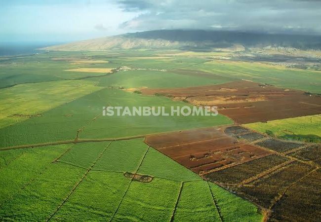 Commercial Land for Sale in Arnavutköy İstanbul with City Views 1