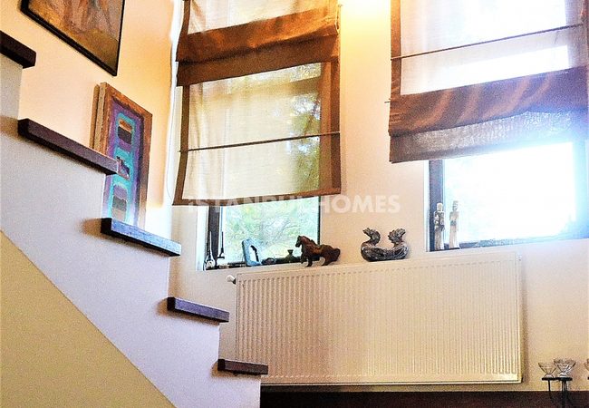 Peaceful House Surrounded by Nature in Istanbul Omerli 18